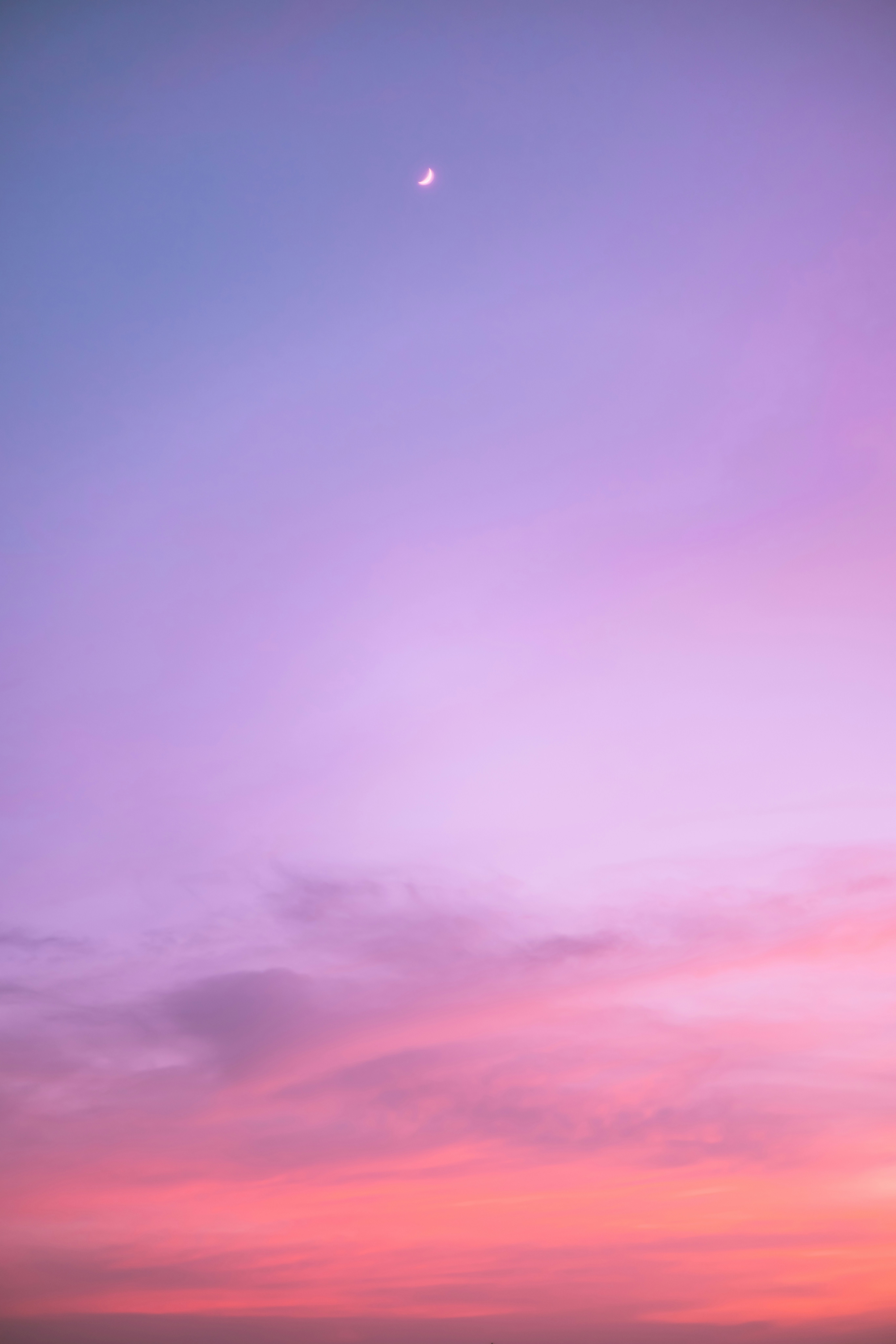 Céu rosa